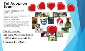 Orlando shelter rescues 28 dogs from path of hurricane elsa. Events