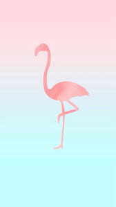 Shop our best selection of outdoor decor to reflect your style and inspire your outdoor space. Flamingo Wallpaper Enjpg