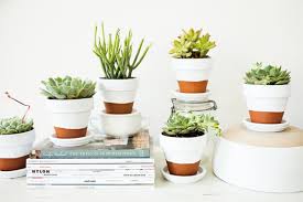Maybe you would like to learn more about one of these? Paint Plant Pots To Brighten Up Your Space Product Care Recycling