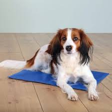 Cooling Mat Trixie Heimtierbedarf Gmbh Co Kg Dogs Dog Blanket Cats