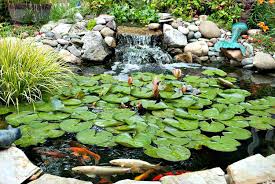 Fish that live in ponds behind the house must definitely have a decent house that is visually good for garden design as. 25 Pond Waterfall Designs And Ideas