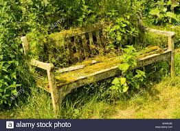 Old Overgrown Garden Bench Uk Stock Photo Alamy