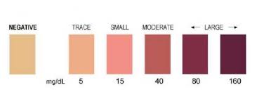 how to detect ketosis 8fit