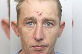 Former Everton FC striker Stuart Barlow says he wants to be a football  coach