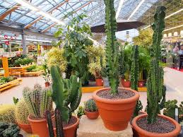 Der blumenpark ist eine faszinierende kombination aus einkaufserlebnis und freizeitspaß. Dehner Gartencenter Rain Am Lech Mapio Net