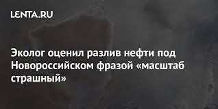 Дело о загрязнении морской среды, возбужденное после разлива нефти в районе порта новороссийска, было переквалифицировано на более тяжкий состав преступления, в. Nlvxjnxkeokc3m