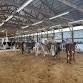2026 SE MN All-Breeds Youth Dairy Show