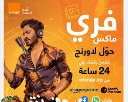 صورة باقة فري ماكس 100 من أورنج
