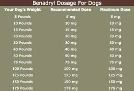 Benadryl Dosage For Dogs Dog Benadryl Benadryl For Dogs Dosage Dog Remedies