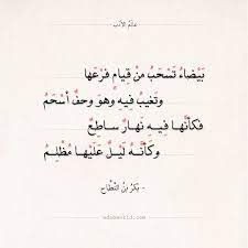 شعر بكر بن النطاح بيضاء تسحب من قيام فرعها عالم الأدب arabic quotes quotes urdu poetry