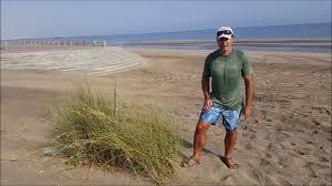 Image result for Halopyrum mucronatum