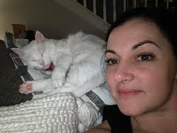 Lost cat Marshmallow found after six weeks