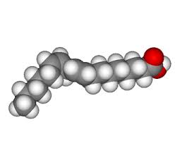 Image result for Fatty Acid