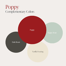 Image result for Poppy Red 1993 Town and Country