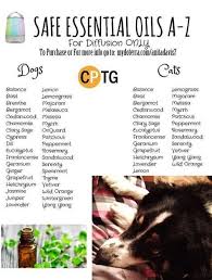 Doterra Oils Safe Cats Are Essential Oils Safe Oil Safe Dog Safe Essential Oils