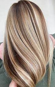 Hair Color Trends 2020 Light Brown Hair Colors Brown Hair Colors Brown Honey Hair Color Fall Hair C In 2020 Honey Hair Color Hair Color Highlights Blonde Hair Color
