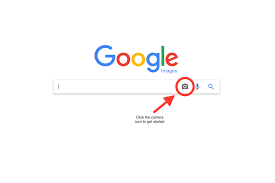 Find Your Images Online Using Reverse Image Search On Google Photoshelter Blog In 2020 Reverse Image Search Image Search Your Image