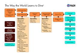 Courses Pearl Divers Wll