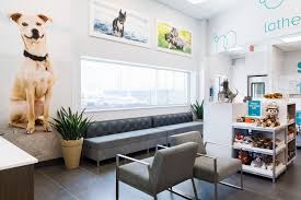When it comes to pet adoption, many people prefer private breeders because they are unable to find a reliable shelter in newington. Adam Feldpausch Pet Spa