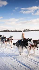 Swedish Lapland: Perfect for social distancing