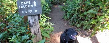 4,881 likes · 731 talking about this · 597 were here. Tails Trails Hiking The Coast With A Dog Travel Oregon