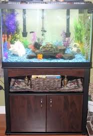 Aqueon 65 Gallon Aquarium Ensemble Aquariums Petsmart Petsmart Aquarium Fish Tank