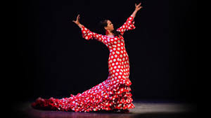 Resultado de imagen de foto flamenco