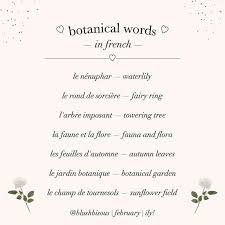 Pin By Sarah On Aesthetic Lady In 2020 How To Speak French French Words Aesthetic Words