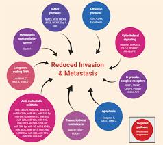 Second, personality disordered patients often cause difficulty by engendering strong emotional reactions in. Molecular Principles Of Metastasis A Hallmark Of Cancer Revisited Signal Transduction And Targeted Therapy