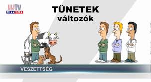 kutya veszettség tünetei képekkel