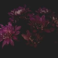 Stream Brooklyn McCauley music