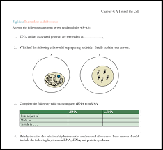Students must solve these questions to brush up their fundamental concepts so that they may get prepared to may 20 a cell is the basic the unit of life whereas tissues are groups of cells that have a similar structure and act together to perform a specific function. Taylor Simon Dickey Hogan Reece Campbell Biology Concepts Connections 9th Edition Pearson