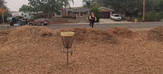 Hole 5 at sinsheimer park, san luis obispo, ca. Sinsheimer Park San Luis Obispo Ca Udisc Disc Golf Course Directory