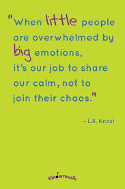 When Little People Are Overwhelmed By Big Emotions It S Our Job To Share Our Calm Not To Join Their Chaos L Parenting Quotes Quotes Inspirational Quotes