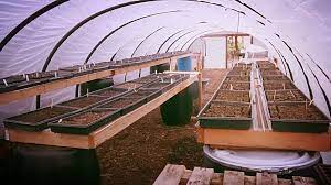 Step by step diy article about free greenhouse plans. Diy Build Solar Seed Benches Greenhouse Heat Sink Benches Thiselle Creek Farm