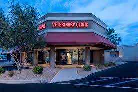 Our pet clinic is very busy today. Topaz Veterinary Clinic Veterinarians Serving Tempe Mesa Chandler And Scottsdale Az Home