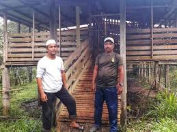Karena hal ini sangat sering terjadi dan dialami oleh mereka yang akan memulai usaha ternak kambing domba. 25 Ekor Kambing Dicuri Pengusaha Rugi Rm23 000