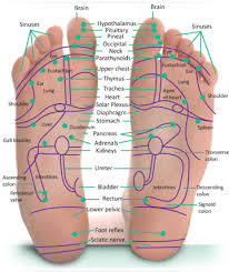 51 right nerve endings in feet chart