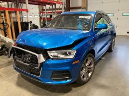 Image result for Hainan Blue 2017 Q3