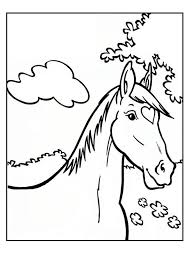 Het vermoeden bestaat dat dit ook voor het paard zelf voordelen had, aangezien na de laatste ijstijd de grote open vlakten in voor paarden ongeschikte dichte bossen veranderden. Kleurplaat Paard Amika Horse Coloring Pages Coloring Pages Cool Coloring Pages