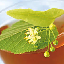 Diabetes mellitus tipo 1 (dm1): 6 Plantas Medicinales Para Bajar El Azucar