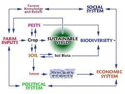 Unesco Teaching And Learning For A Sustainable Future Module 15 Sustainable Agriculture Sustainable Agriculture Teaching Sustainability