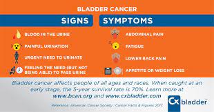 Uterine sarcoma is a rare type that starts in the muscles in the uterus or the surrounding tissue. Cxbladder On Twitter Some Signs Of Bladdercancer Blood In The Urine And Pain When Peeing Find Out More From B C A N And Https T Co 6goq5unesu Bcam17 Https T Co Jsvsxvex1u