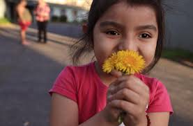 A Santa Rosa charity bought a rundown motel to help homeless people. Two  years later, tenants say they're living in squalor