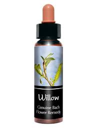 (in many cases, i realize, this damage was inflicted by someone with strong. Willow Bach Flower Remedy For Resentment Bitterness Creature Comforters