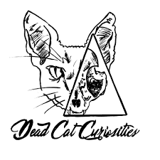 Maybe you would like to learn more about one of these? Dead Cat Curiosities Home Facebook