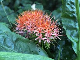 See more of botanischer garten der tu dresden on facebook. Botanischer Garten Dresden Flip De