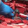 Wiring harnes cummin exhaust temperature. 1