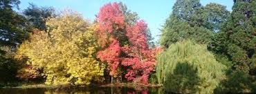 Check out our best offers departing from london among more than 400 airlines now! Epingle Sur Non N