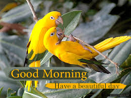 Maybe you would like to learn more about one of these? Good Morning Lovely Bird Images Good Morning Images Quotes Wishes Messages Greetings Ecards
